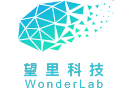 Wangli Technology (WonderLab)